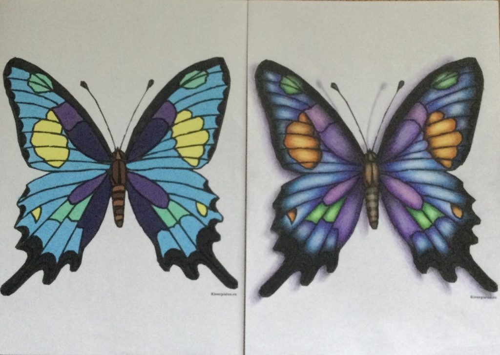 privefoto butterfly coloring.jpg