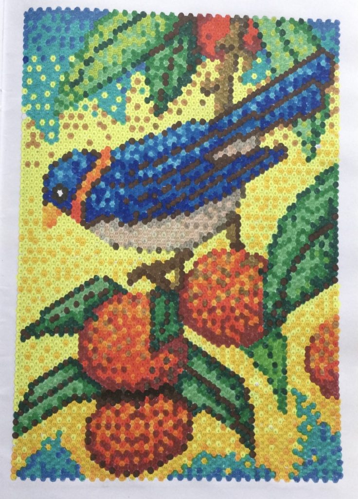 vogel met bessen- extraordinary color by number-uitgeverij wins-holland.jpg