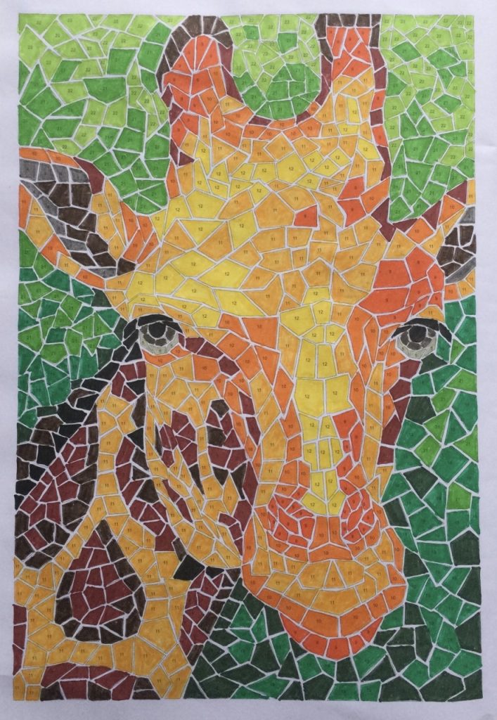 giraf-extraordinary color by number-uitgeverij wins-holland.jpg