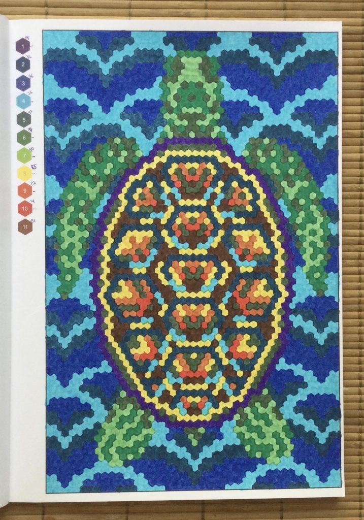 schildpad-kleuren op nummer-extreme kleurpuzzels voor volwassenen-joanna webster.jpg