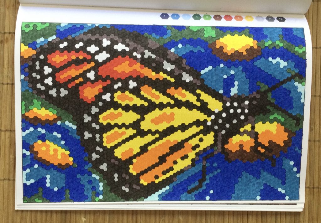 vlinder- kleuren op nummer-extreme kleurpuzzels voor volwassenen-joanna webster.jpg