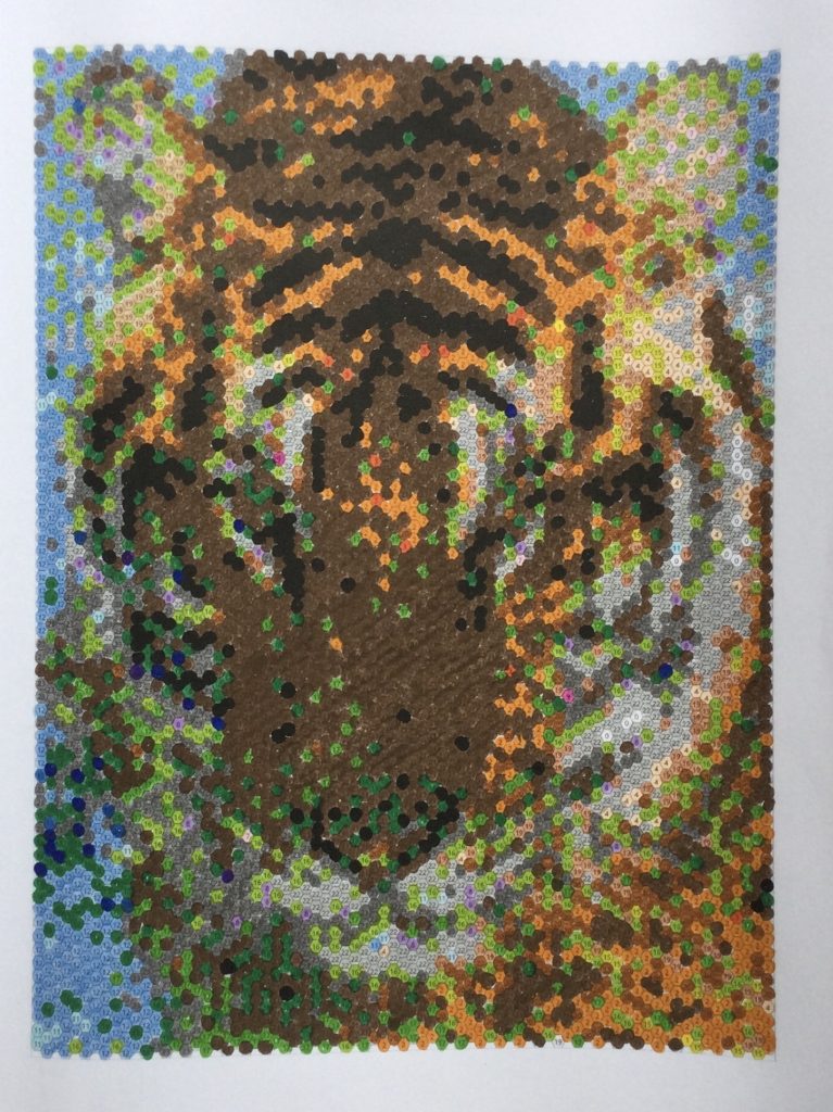 Kleuren op nummer- Mosaics animal wonders-rocket publishing.jpg