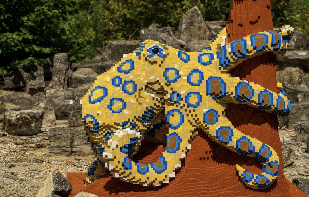 Octopus van Lego-nick-fewing-DKwUxMXBrxQ-unsplash.jpg