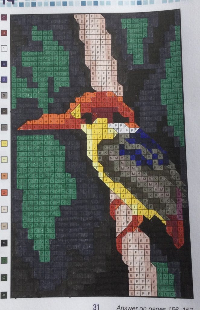 kleuren op nummer-ijsvogel-Brain games pixel puzzles.
