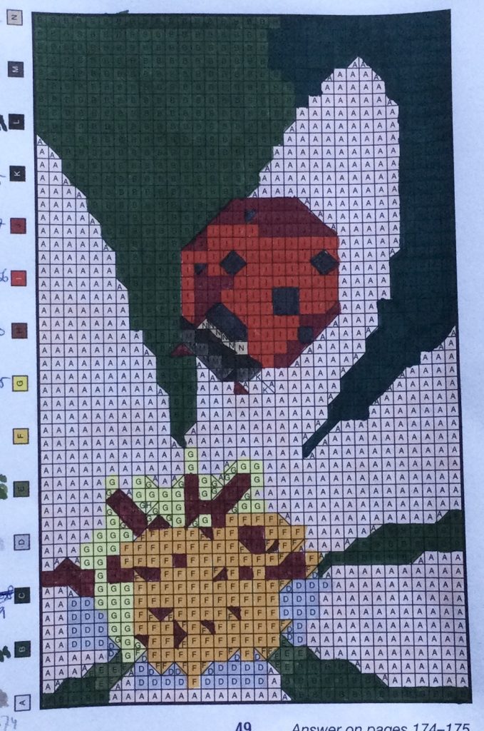 lieveheersbeestje- pixel puzzles van Braingames.jpg