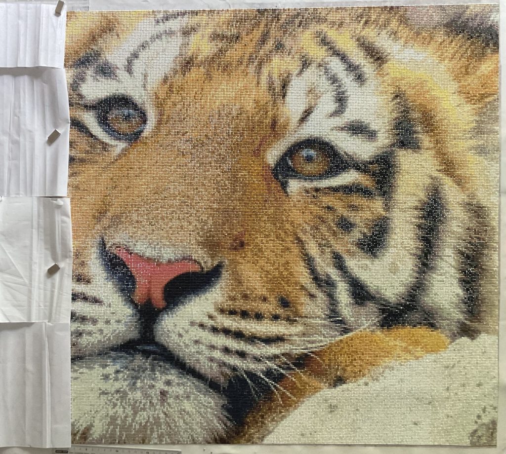 Work in progress costumized diamond painting tiger 4-lili mihailova-pixabay.com.jpg