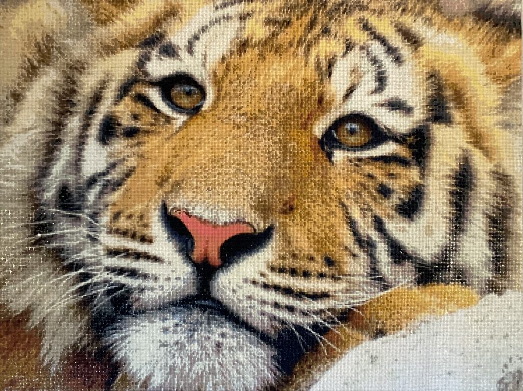 finished costumized diamond painting tiger 4-lili mihailova-pixabay.com.jpg